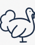 Turkey icon for Thanksgiving
